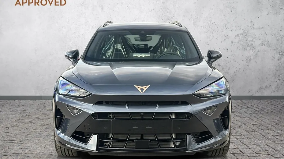CUPRA Formentor Formentor 2.0 TSI 4Drive Tribe Edition VZ DSG