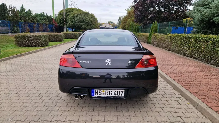 PEUGEOT 407 -