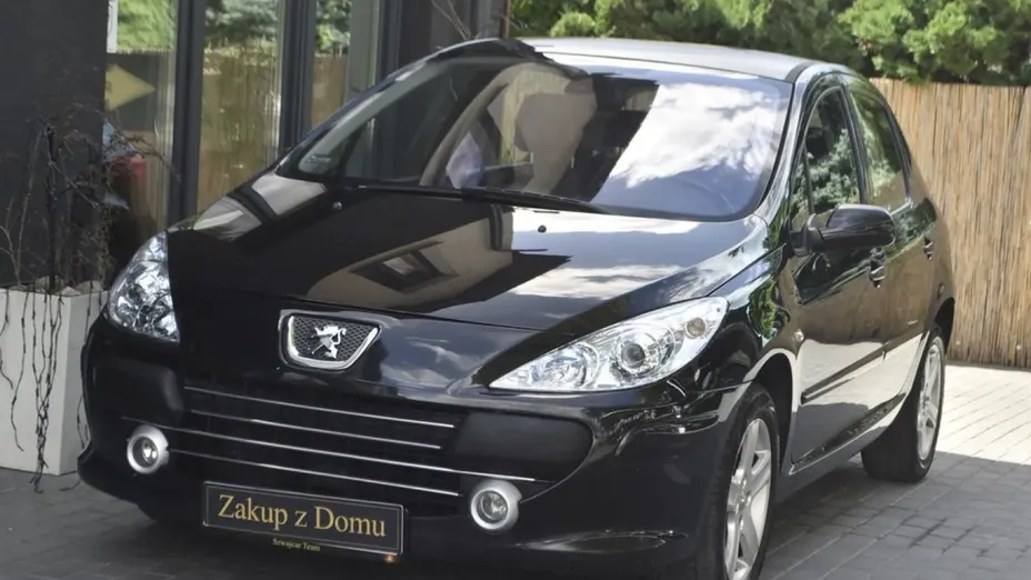 PEUGEOT 307 -
