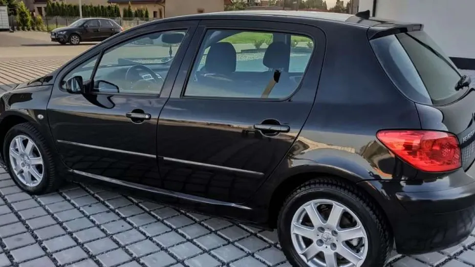 PEUGEOT 307 -