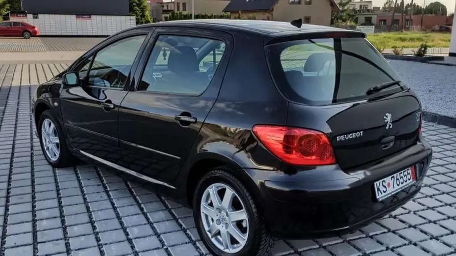 PEUGEOT 307 -
