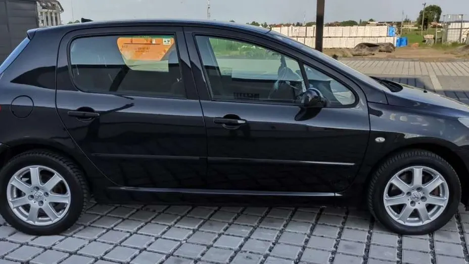 PEUGEOT 307 -