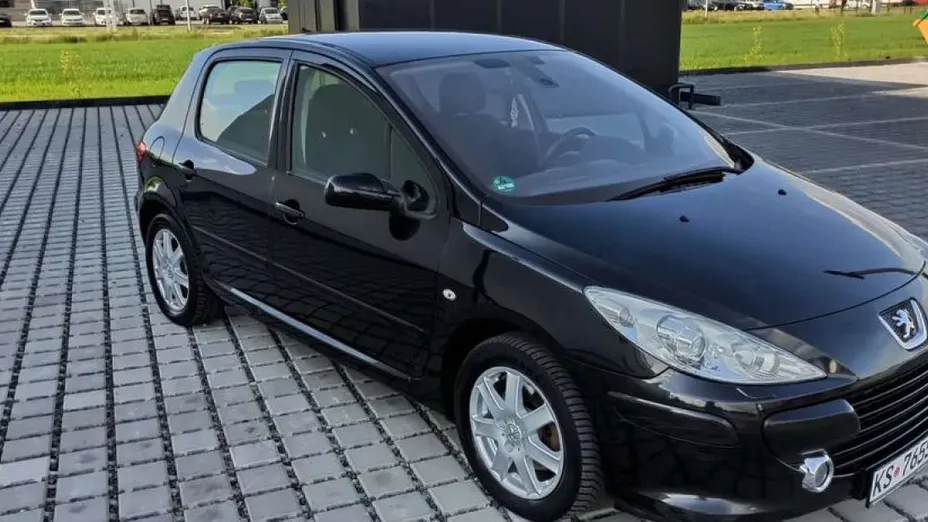 PEUGEOT 307 -