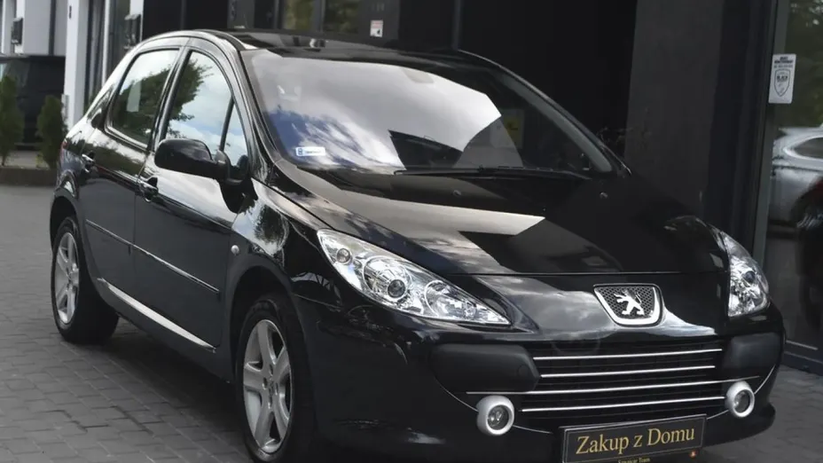 PEUGEOT 307 -