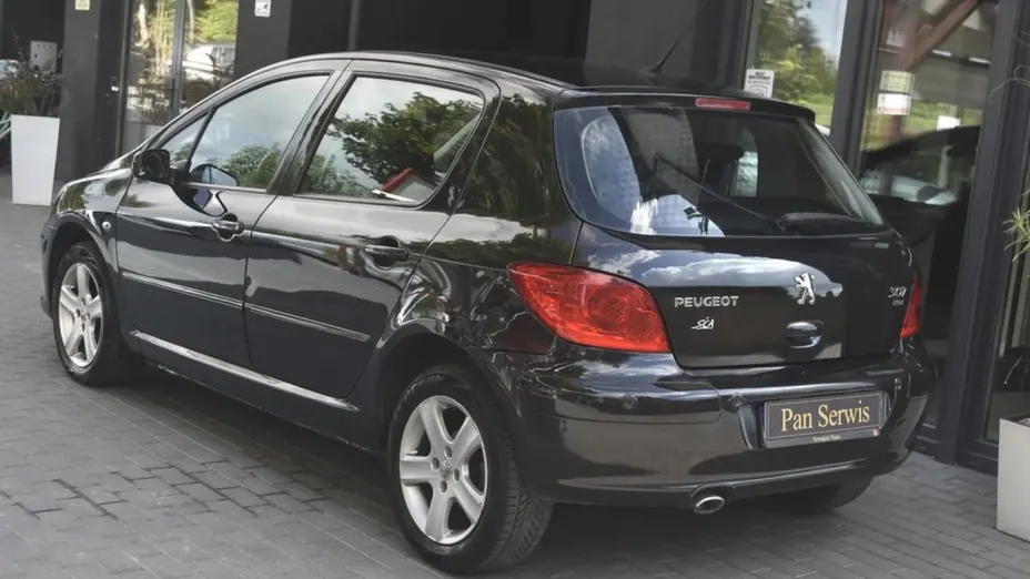PEUGEOT 307 -