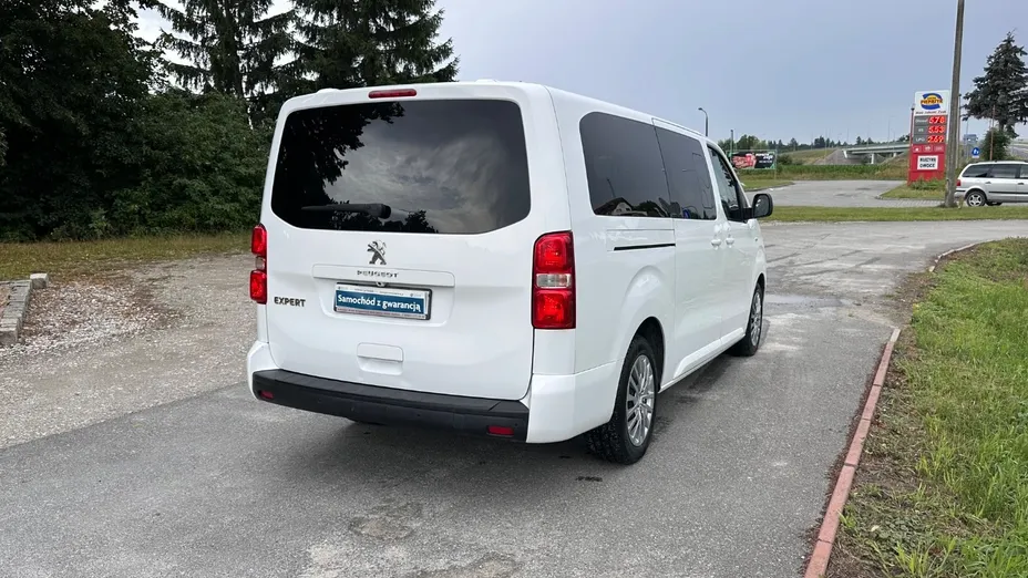PEUGEOT Traveller -