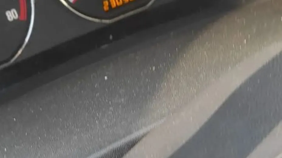 OPEL Signum -