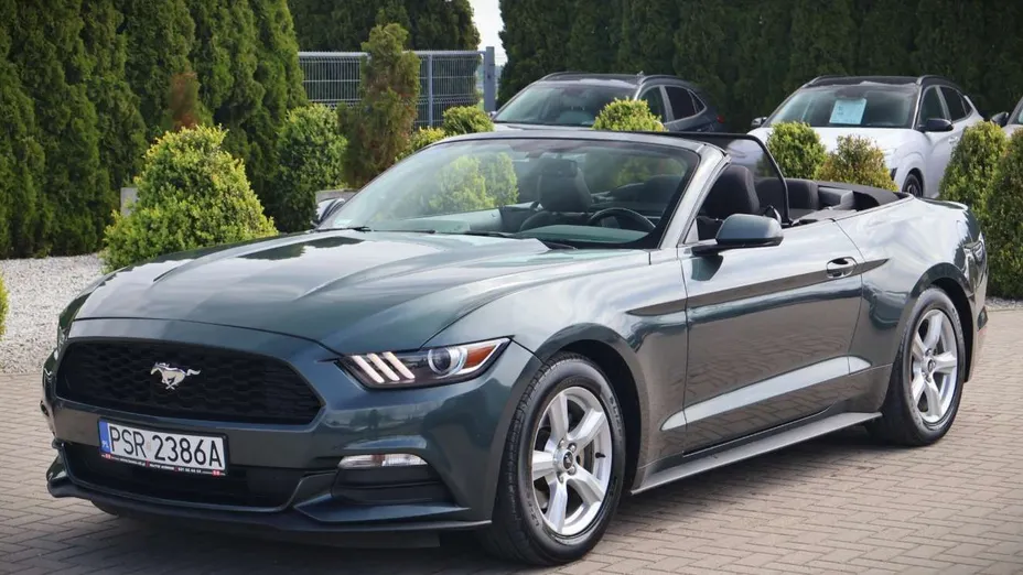 FORD Mustang -