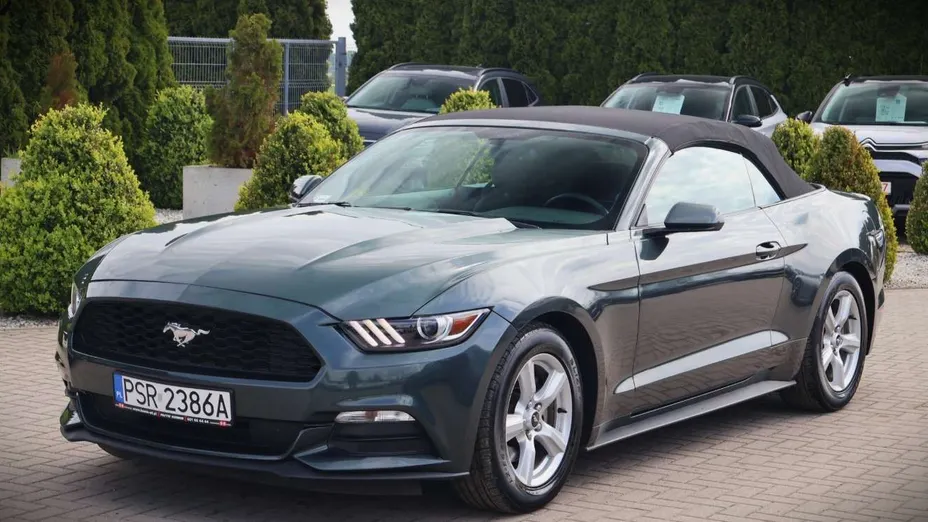 FORD Mustang -