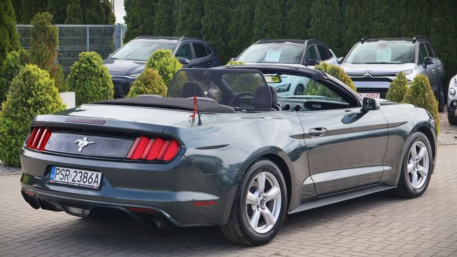 FORD Mustang -