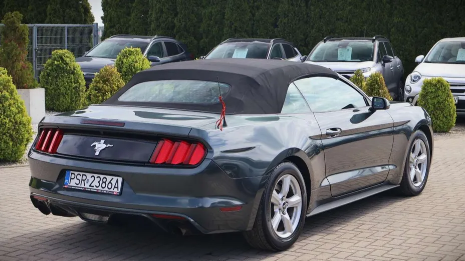 FORD Mustang -