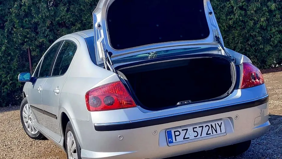 PEUGEOT 407 -