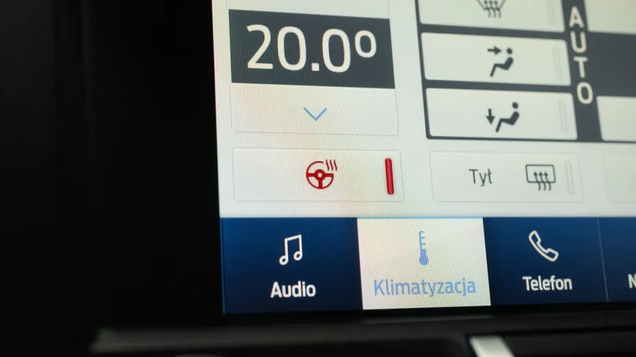 FORD Mustang Mustang 5.0 V8 Mach 1 aut