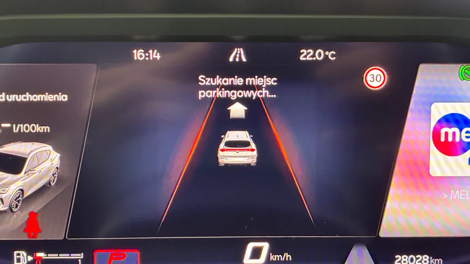 CUPRA Formentor Formentor 2.0 TSI 4Drive VZ DSG