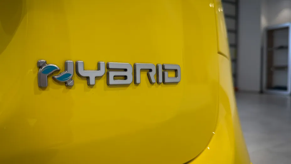 FIAT Panda Pandina 1.0 Hybrid Icon Nowy