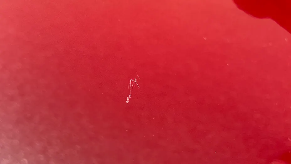 SEAT Leon Leon SC 1.2 TSI Reference S&S