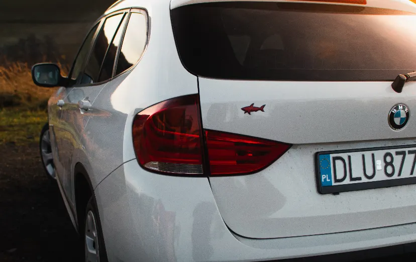 BMW X1 X1 sDrive20d aut