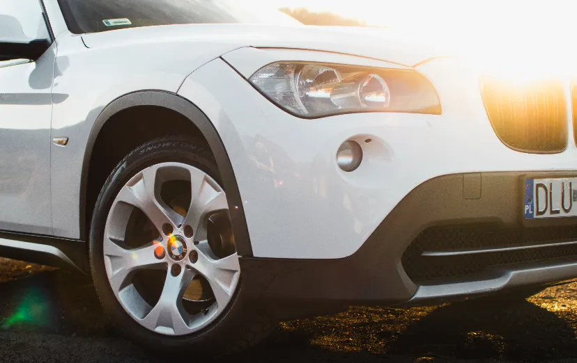 BMW X1 X1 sDrive20d aut