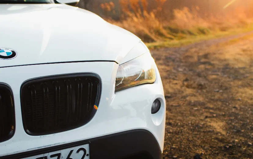 BMW X1 X1 sDrive20d aut