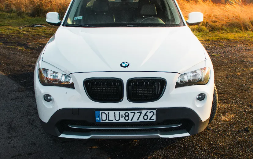 BMW X1 X1 sDrive20d aut