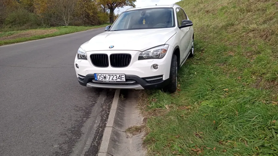 BMW X1 X1 sDrive20d xLine