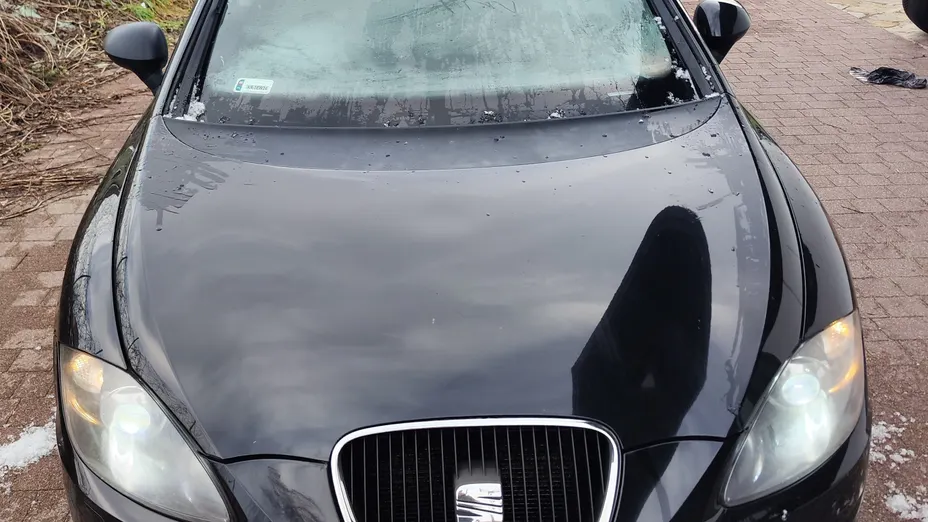 SEAT Leon Leon 1.6 TDI Ecomotive Reference S&S