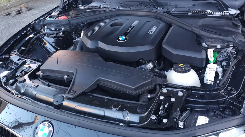 BMW Seria 3 318i Advantage