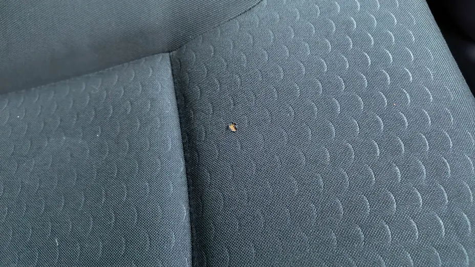 OPEL Vivaro Vivaro L2H1 2.9t Edition