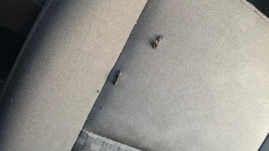 FORD Transit Transit 350 L4H3 RWD Ambiente