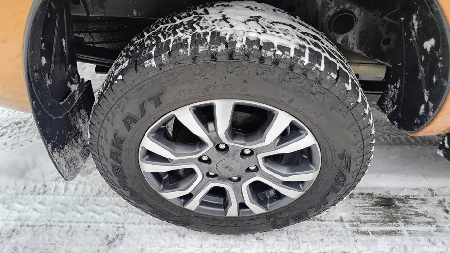 FORD Ranger Ranger 2.0 EcoBlue 4x4 DC Wildtrak aut