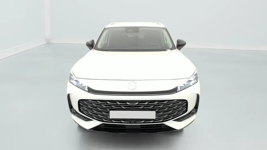 MG EHS -