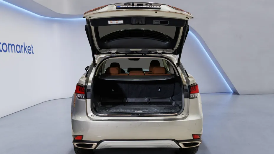 LEXUS RX RX 300 F-Impression