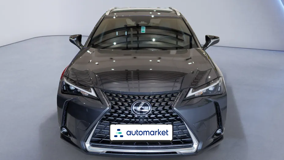 LEXUS UX UX 300h Business
