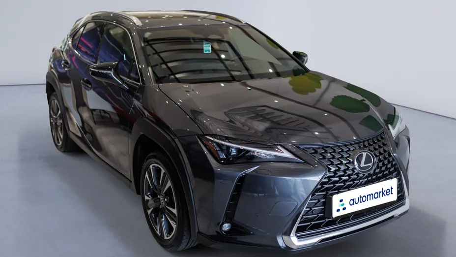 LEXUS UX UX 300h Business