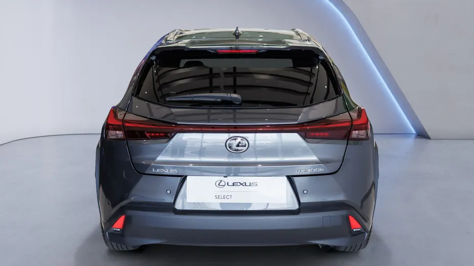 LEXUS UX UX 300h Business