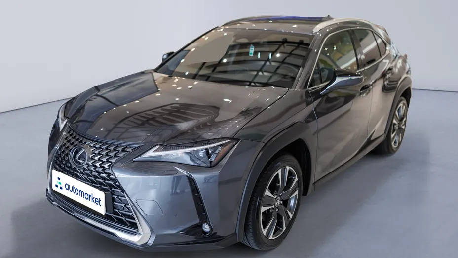 LEXUS UX UX 300h Business