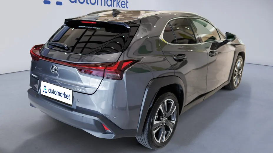 LEXUS UX UX 300h Business