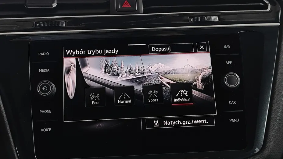 VOLKSWAGEN Tiguan Tiguan 2.0 TDI SCR 4Mot. R-Line DSG