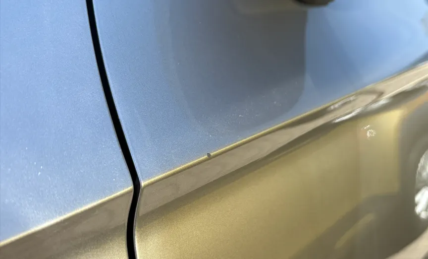 VOLKSWAGEN Passat Passat 2.0 TDI EVO Business DSG