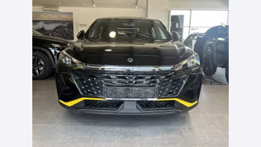 DONGFENG Shine