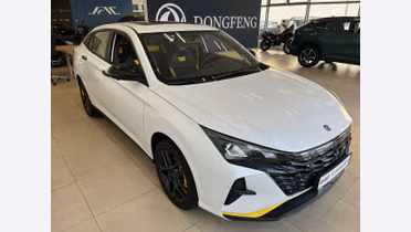 DONGFENG Shine