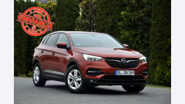 OPEL Grandland X