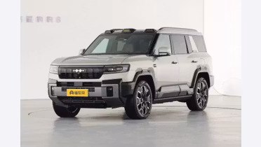 BYD Leopard 8
