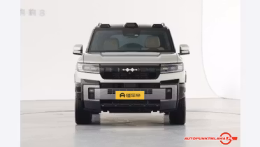 BYD Leopard 8