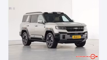 BYD Leopard 8