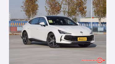 MG 7