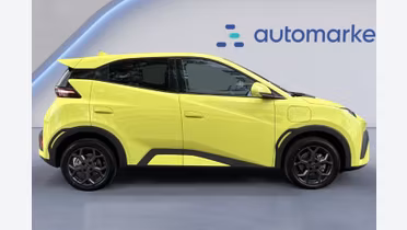 BYD Dolphin Surf
