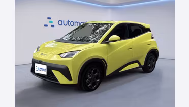 BYD Dolphin Surf