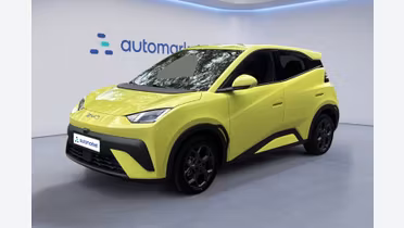BYD Dolphin Surf