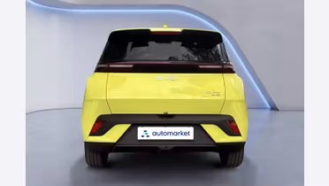BYD Dolphin Surf